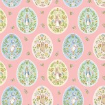 Peter Rabbit Spring